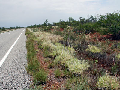 habitat