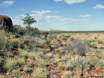 habitat