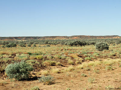 habitat