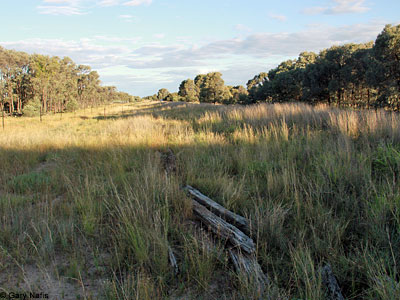 habitat