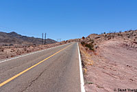 Carmen Island Zebra-tailed Lizard habitat