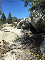 San Lucan Speckled Rattlesnake habitat