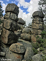 San Lucan Speckled Rattlesnake habitat