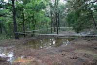 Houston Toad habitat