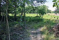 Southern Leopard Frog habitat