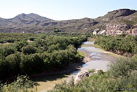 Rio Grande Leopard Frog habitat