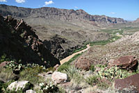 Eastern Collared Lizard habitat