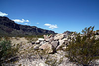 Eastern Collared Lizard habitat