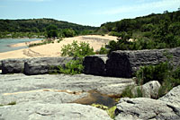 Texas Greater Earless Lizard habitat