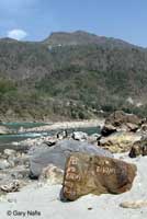 Kashmiri Rock Agama habitat