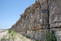 Texas Crevice Spiny Lizard habitat