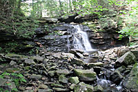 Northern Two-lined Salamander habitat