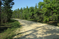 Brown-chinned Racer habitat