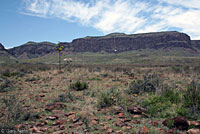 Texas Nightsnake habitat