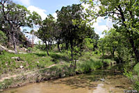 Texas Ratsnake habitat