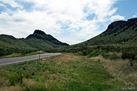 Chihuahuan Hook-nosed Snake habitat