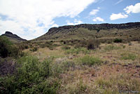 Chihuahuan Hook-nosed Snake habitat