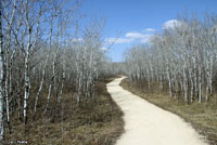 Red-sided Gartersnake habitat