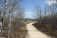 Red-sided Gartersnake habitat