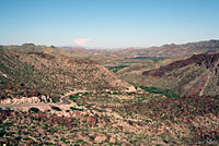 Sonoran Gopher Snake habitat