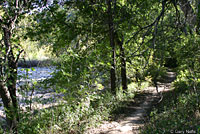 Texas Brownsnake habitat