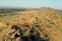 Indian Star Tortoise habitat