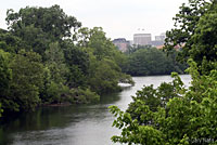 Red-eared Slider habitat