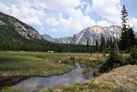 Columbia Spotted Frog habitat