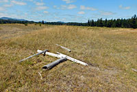 Northwestern Gartersnake habitat