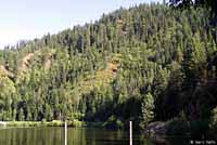 Coeur d'Alene Salamander habitat