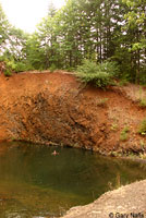 Rough-skinned Newt habitat