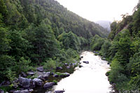 Oregon Gartersnake habitat