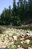 Mountain Gartersnake habitat