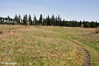 Wandering Gartersnake habitat