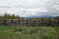 Northwestern Gartersnake habitat