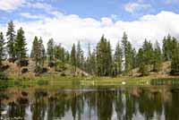 Western Painted Turtle habitat