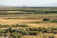 Dixie Valley Toad habitat