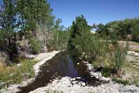 Amargosa Toad habitat