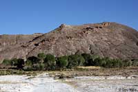 Amargosa Toad habitat