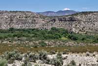 Plateau Spiny Lizard habitat