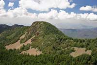 Western Twin-spotted Rattlesnake habitat