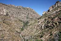 Arizona Black Rattlesnake habitat