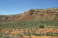 Great Basin Gophersnake habitat