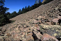 Western Twin-spotted Rattlesnake habitat