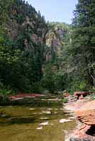 Narrow-headed Gartersnake habitat