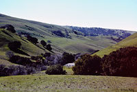 California Kingsnake habitat