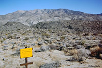 Desert Slender Salamander Habitat