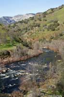 Kings River Slender Salamander Habitat