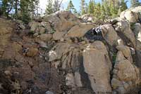 Mount Lyell Salamander Habitat