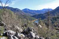 Speckled Black Salamander Habitat 